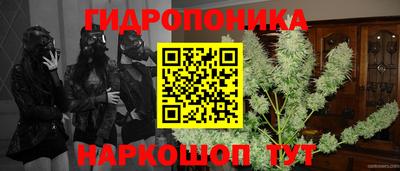 стафф Малгобек