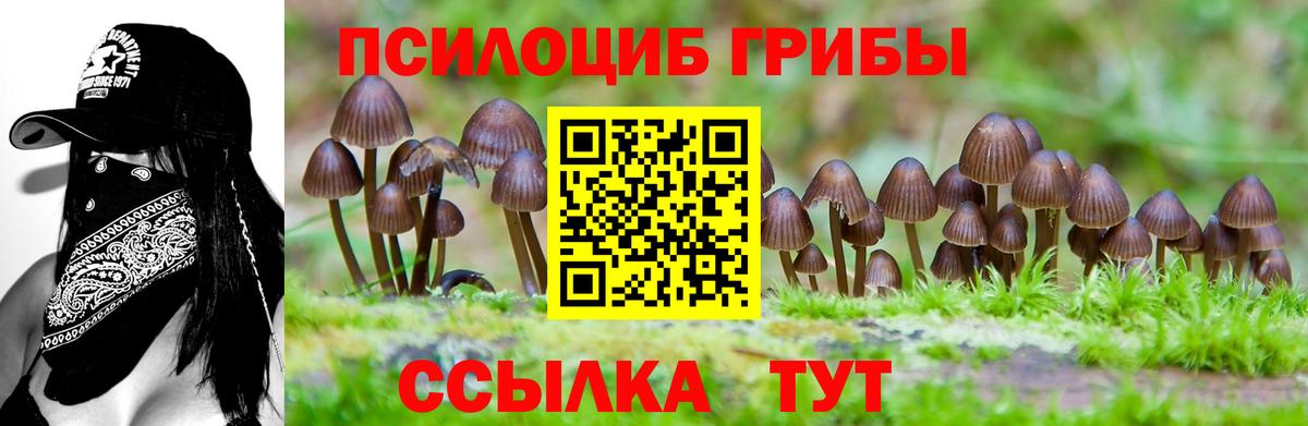 Псилоцибиновые грибы Psilocybine cubensis  Псилоцибиновые грибы мухоморы  Зеленокумск  Вход с VPN 